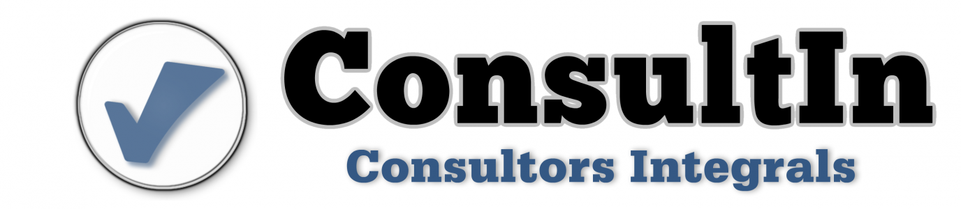 Logo Consultin